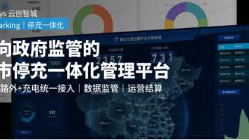 面向政府监管的城市停充一体化管理平台